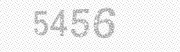 Visual security code — type the characters shown in the image