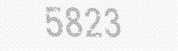 Visual security code — type the characters shown in the image