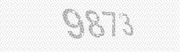 Visual security code — type the characters shown in the image